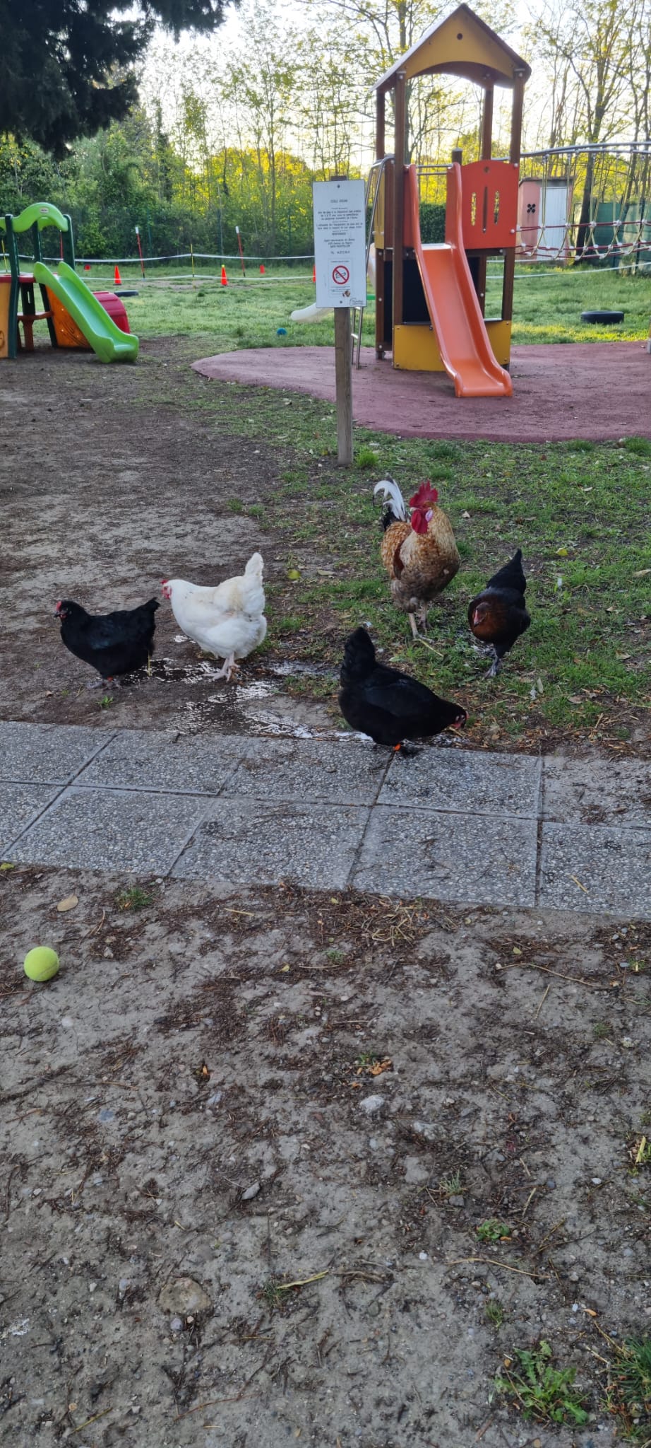 Ferme pédagogique avec les enfants