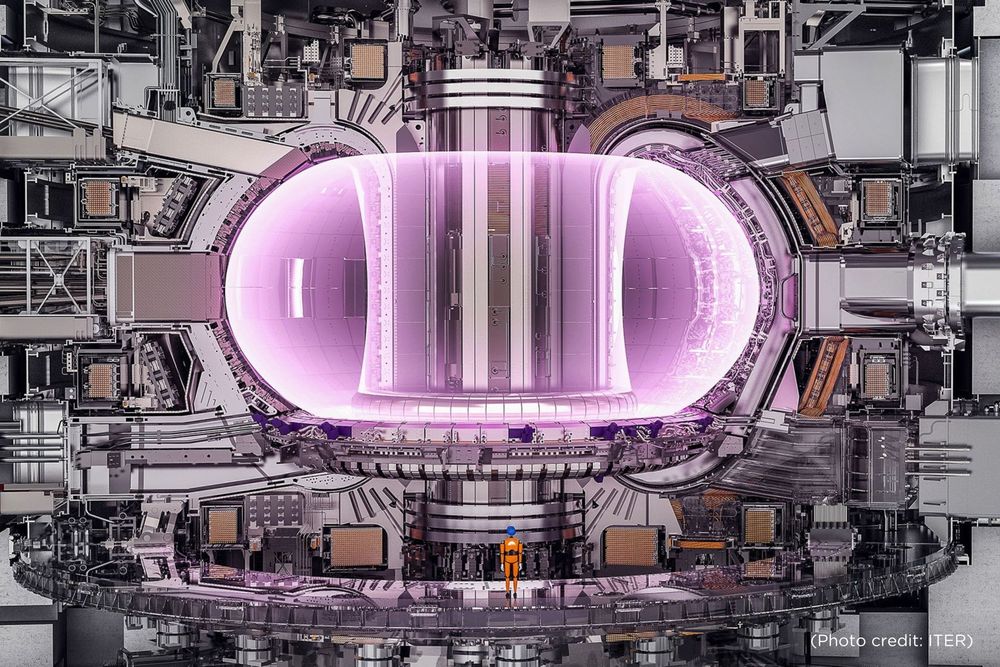 Noyau du projet ITER